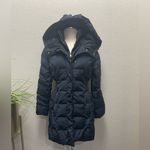Cole Haan New! Taffeta Down Coat With Bib Front and Dramatic Hood Sz S $298 Photo 3