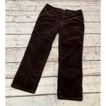 Charter Club  Corduroys Classic Fit Brown-10 Short Photo 0