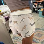 P.J. Salvage Pj Savage Shorts Photo 2