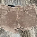 Oakley  Brown Corduroy size ¾ Shorts Photo 0
