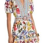 Farm Rio NWOT  Floral Ruffles Greek Garden Off-White Mini Dress Size XL Photo 0