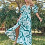 H&M x Johanna Ortiz Green White Linen Leaf Dress Photo 9