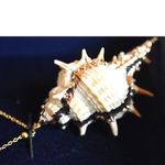 Stauer Oceanus Amphitrite Seashell Gold Finish 16" Yellow Gold Chain Necklace Photo 2