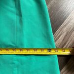 Black Label Green  NWT skirt size 18 Photo 3
