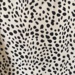 Lush Clothing Lush White and Black Slip Mini Dress Photo 2