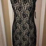 AA Studio Black Lacy Dress NWT Size 6 Photo 0