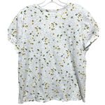 Loft Vintage Soft V Neck Shirt L Beach Umbrella Balls Vacation Summer Nautical Photo 2