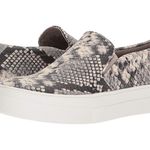 Steve Madden snakeskin Photo 0