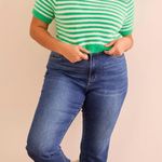 NEW Arula Green Striped Sweater Top Plus Size 1X NWT Photo 1