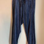Aerie Offline Velour Blue After Party Jogger 90s Y2K sz Lg Photo 0