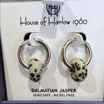 House of Harlow 1960 | Silver & Dalmatian Jasper Hoops Photo 2