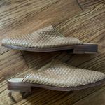 Nisolo Leather Shoes Size 10 Photo 1