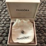 Pandora Paisley Detail Silver Bead Charm Bracelet Photo 0