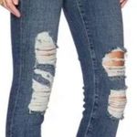 frame denim Le Skinny de Jeanne 5 pocket distressed jeans in Jewel, size 27 Photo 1