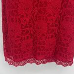 Sequin Hearts  Lace Shimmer Dress 15 Holiday Illusion Party Sexy Winter Valentine Photo 3