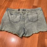 Torrid NWT  women’s acid jade jean shorts size 22. Photo 3