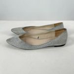ZARA ‎ Glitter Slip On Point Toe Ballet Flats in Silver Size 38 or 7.5 Photo 2