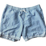 Talbots  Women's Plus 1X Blue Pinstripe Shorts Embroidered Trim Linen Blend Photo 0