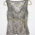 Loft Ann Taylor Metallic Lace Top Size 2 Empire Waist Velvet Bow Fairy Glam Photo 0