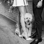 Schutz  Monet Napa leather Pump Photo 5