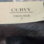 Ann Taylor  Gray Pinstripe Trousers NWT Size 8 Gray Stripe Dress Pants Photo 6