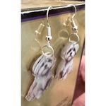 Bichon Frise Earrings New Dangle Hooks Double Sided Fluffy White Teddy B… Photo 10