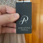 Adrianna Papell Anthropologie Champagne Bryce Beaded Gown Dress Sz 2 NWT Photo 5