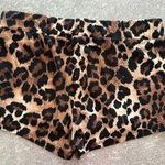 Leopard Shorts Brown Size M Photo 1