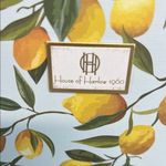 House of Harlow 1960 | Seashell Motif Necklace 🌊🐚🪸 Gold Photo 1