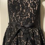 Robert Rodriguez Sale! 🔥 NWT! Robert Rodriquez Black Lace Dress Size 4 Photo 3