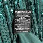 R & M Richards Dress Womens 6 Green Fringe Sequin Glam Party Formal Cocktails Photo 9