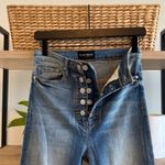 Black Orchid High Photo 9