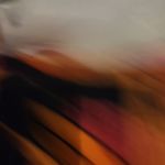 Derek Lam  10 Crosby Fatima Floral Cotton Midi Dress Size 0 $550 Photo 3