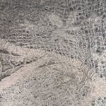 ZARA Nwt crochet floral cream cardigan  boho classic summer coastal casual s $98 Photo 6