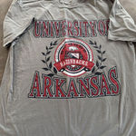 University Of Arkansas Gray Tshirt Size Large Photo 0