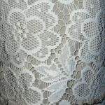 The Limited THE‎  Stunning Champagne With Cream Crochet Trim Dress NWOT Size 6 Photo 6