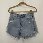 Free People Baggy Tomboy Shorts Button Fly Size 24 Photo 0