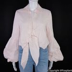 NWT Petersyn Silvia Long Sleeve Cotton Cropped Top w/ Bell Sleeves, Roses‎ Pink Size M Photo 6
