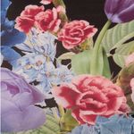 Alice + Olivia NWT- Tess Crew Neck Tee Size XS Photo 8