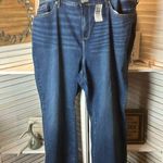 Torrid NWT Jupiter  Jeans Photo 0