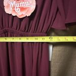 Show Me Your Mumu NWT  Emily Empire Maxi Dress in Red Merlot Chiffon Size XS Photo 5