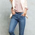 Talbots  Pink and Black Button Down Shirt Sodt Pin tuck Butterfly Shirt Photo 2