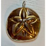 Vintage Best Gold tone Sand Dollar Pendant and Brooch Photo 0
