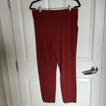 EXPRESS Burnt orange, stretchy, taper ankle pant size medium Photo 2
