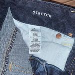 American Eagle  shorts Photo 2