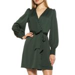 Alexia Admor  Emerald Green faux Wrap Dress long sleeve silky size 4 Photo 0