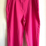 Old Navy  Womens Dressy Pants Hot Pink Full Length Wide Leg Pleated Size 3X Photo 0