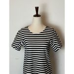 J.Crew Black and White Striped Short Sleeve Crewneck Mini Dress Size XS Photo 5