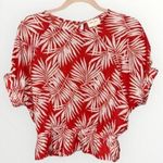 Allie Rose Red With Gray Tropical Foliage Dolman Short Sleeve Peplum Crop Top S Photo 0