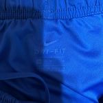Nike DriFit Running shorts Photo 1